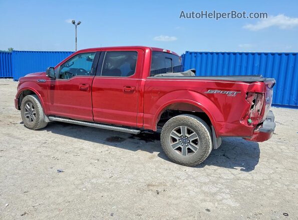1FTEW1EF9GFA62320 2016 FORD F150 Красный Задняя левая четверть