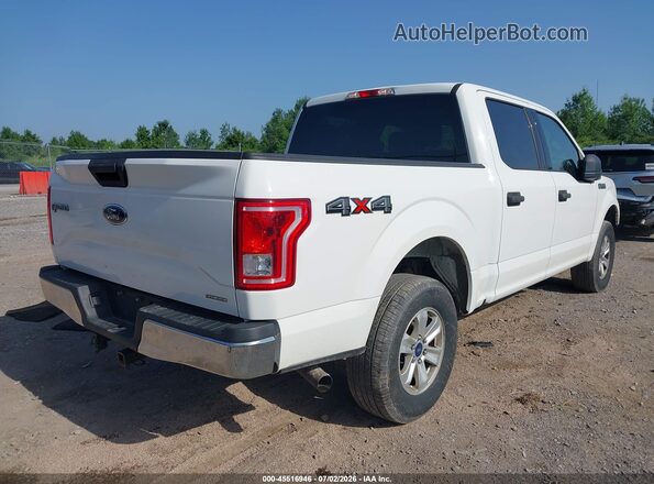 1FTEW1EF9GFB13007 2016 FORD F150 Белый Задняя правая четверть