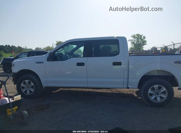 1FTEW1EF9GFB13007 2016 FORD F150 Белый 