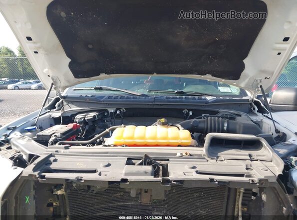 1FTEW1EF9GFB13007 2016 FORD F150 Белый Вид сзади