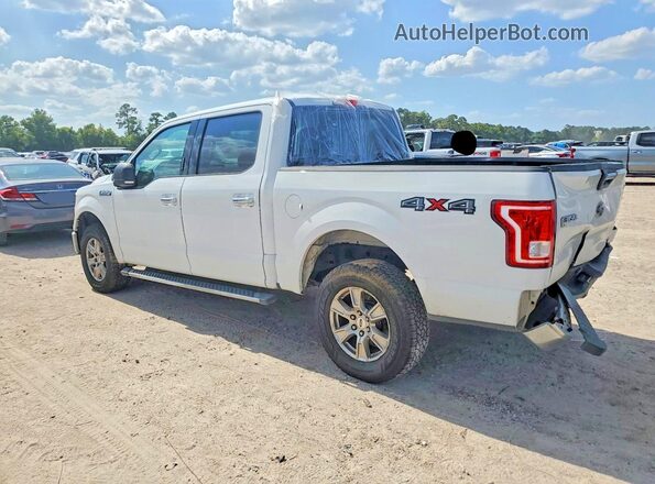 1FTEW1EF9GFC38556 2016 FORD F150 Белый Задняя левая четверть
