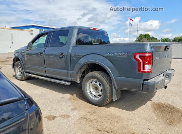1FTEW1EFXGFD05956 2016 FORD F150 Gray Հետևի ձախ