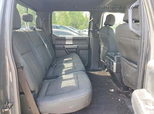 1FTEW1EFXGFD05956 2016 FORD F150 Gray Հետևի նստատեղերի տեսք
