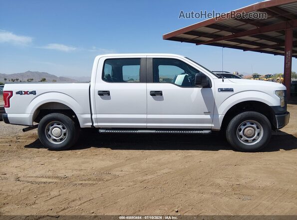 1FTEW1EG0GKD19252 2016 FORD F150 Белый Вид задней части салона