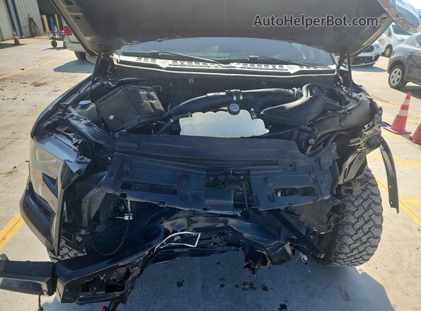 1FTEW1EG1GFB81391 2016 FORD F150 Black Vista interior trasera