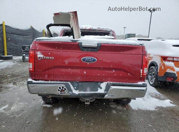 1FTEW1EG1HFA66131 2017 FORD F150 Красный Вид сзади