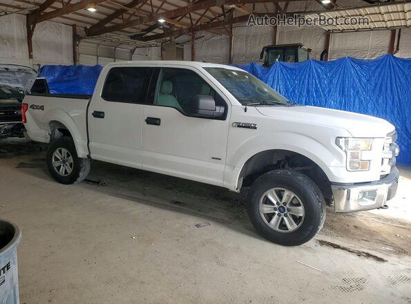 1FTEW1EG2GFB99897 2016 FORD F150 White Delantero derecho