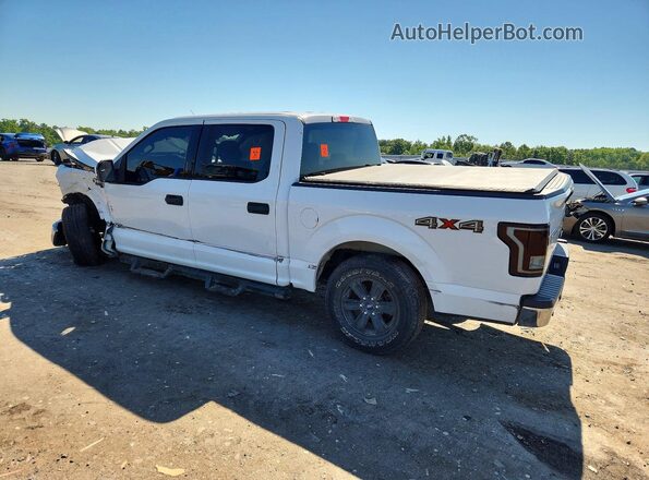 1FTEW1EG3GFA73256 2016 FORD F150 White Tył lewy