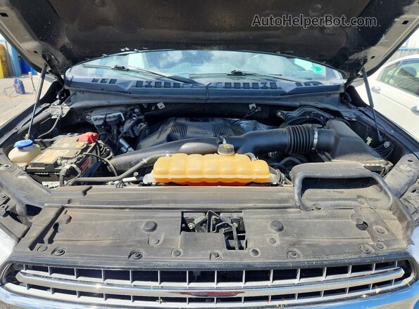 1FTEW1EG3JKC46319 2018 FORD F150 Зеленый Вид задней части салона