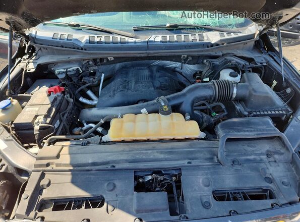 1FTEW1EG4GFC83445 2016 FORD F150 Gray Սալոնի հետևի տեսք