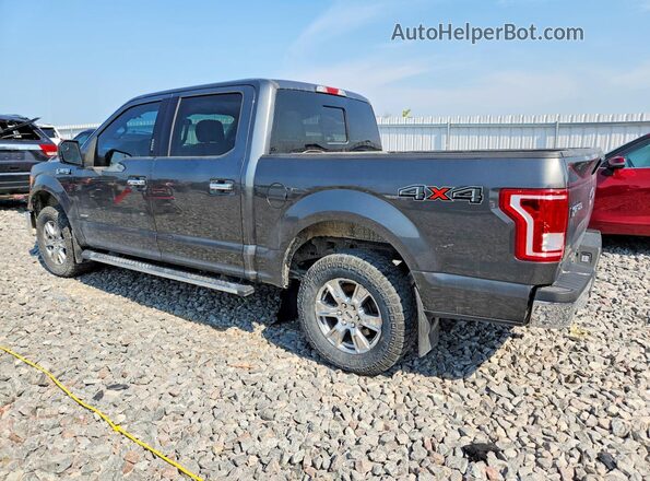 1FTEW1EG5HFC57809 2017 FORD F150 Серый Задняя левая четверть