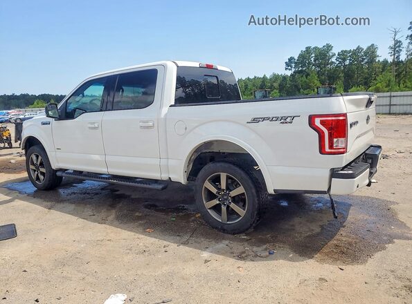 1FTEW1EG7GFA69226 2016 FORD F150 White Rear left