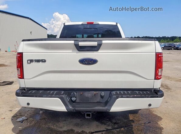 1FTEW1EG7GFA69226 2016 FORD F150 White Rear view