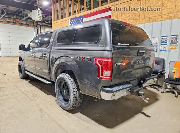1FTEW1EG8GKF72433 2016 FORD F150 Серый Задняя левая четверть