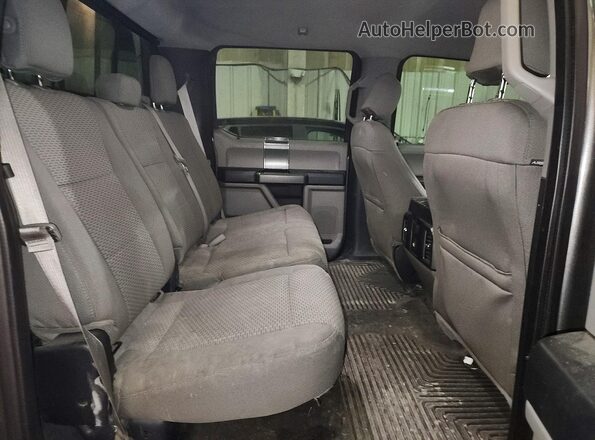 1FTEW1EG8GKF72433 2016 FORD F150 Серый Вид задних сидений