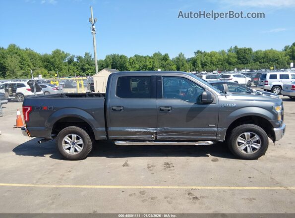 1FTEW1EGXGFD07666 2016 FORD F150 Gray Widok wnętrza z tyłu
