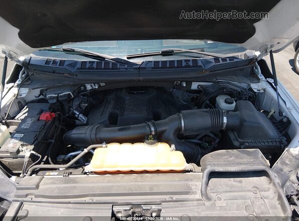 1FTEW1EGXHFC45493 2017 FORD F150 White Widok z tyłu