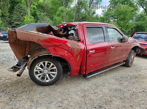 1FTEW1EGXHFC84293 2017 FORD F150 Burgundy Rear right