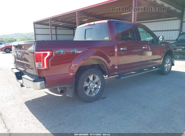 1FTEW1EP0GKD41722 2016 FORD F150 Burgundy Հետևի աջ