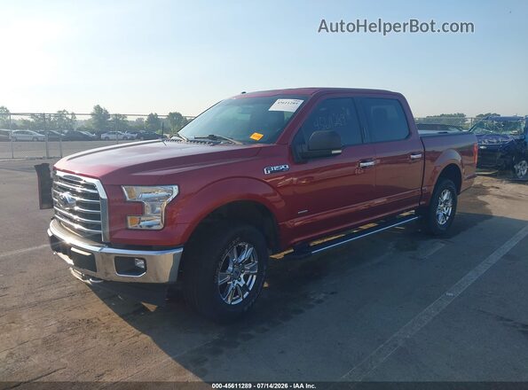 1FTEW1EP0HFB31485 2017 FORD F150 Red Przód lewy