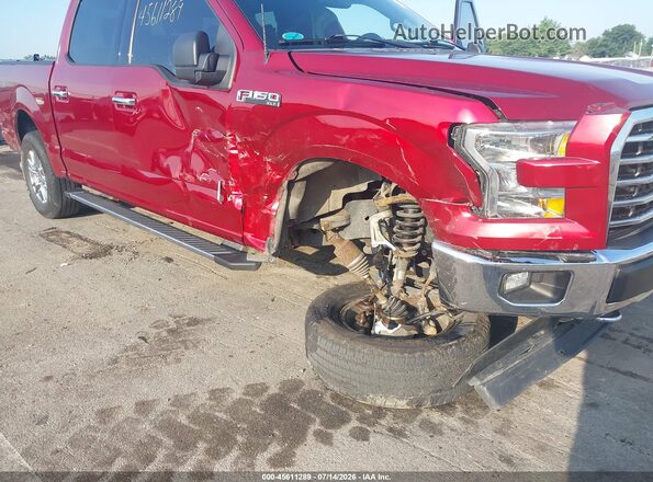 1FTEW1EP0HFB31485 2017 FORD F150 Red Widok z przodu