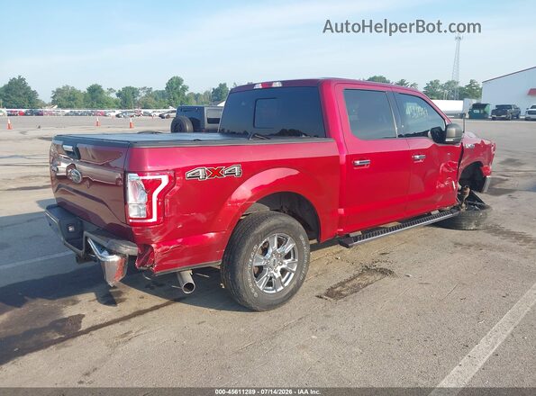 1FTEW1EP0HFB31485 2017 FORD F150 Red Tył prawy