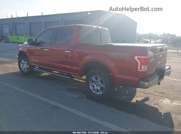 1FTEW1EP0HFB31485 2017 FORD F150 Red Tył lewy