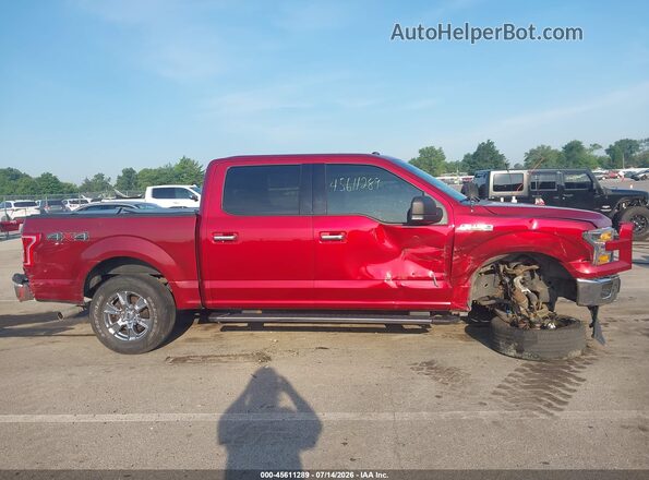 1FTEW1EP0HFB31485 2017 FORD F150 Red Widok wnętrza z tyłu