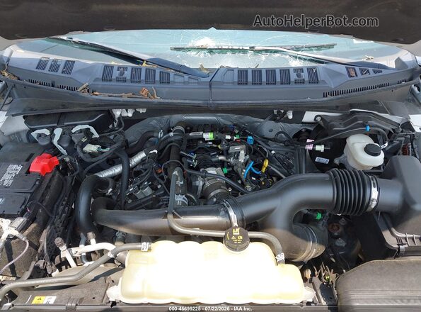 1FTEW1EP0LFA53136 2020 FORD F150 Silver Вид ззаду