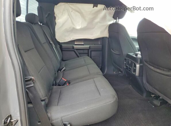 1FTEW1EP0LFB32497 2020 FORD F150 Gray Widok tylnych siedzeń