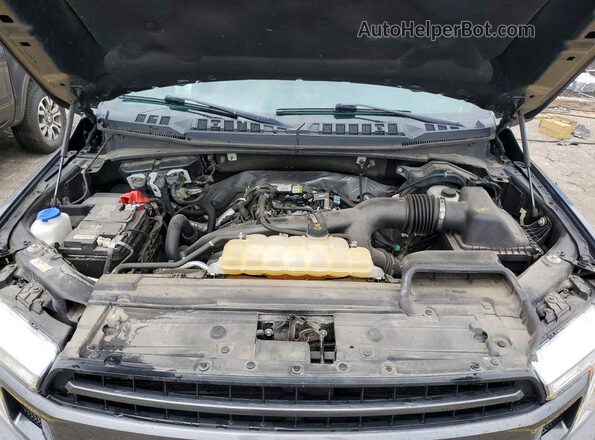 1FTEW1EP0LFB32497 2020 FORD F150 Gray Widok wnętrza z tyłu