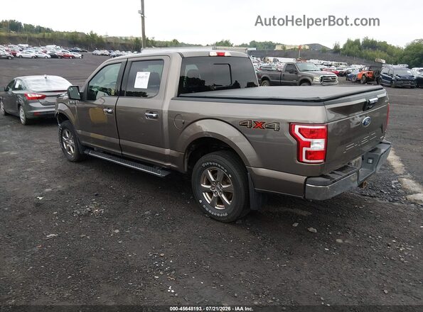 1FTEW1EP0LFB50238 2020 FORD F150 Brown უკანა მარცხენა