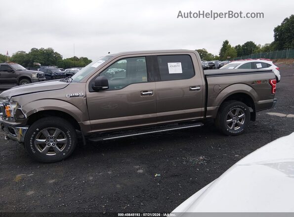1FTEW1EP0LFB50238 2020 FORD F150 Brown სალონის 360-გრადუსიანი ხედი