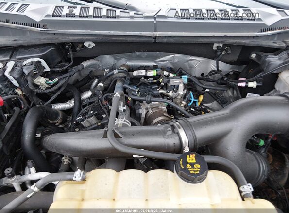 1FTEW1EP0LFB50238 2020 FORD F150 Brown უკანა ხედი