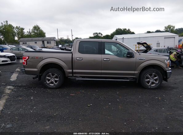 1FTEW1EP0LFB50238 2020 FORD F150 Brown უკანა სალონის ხედი