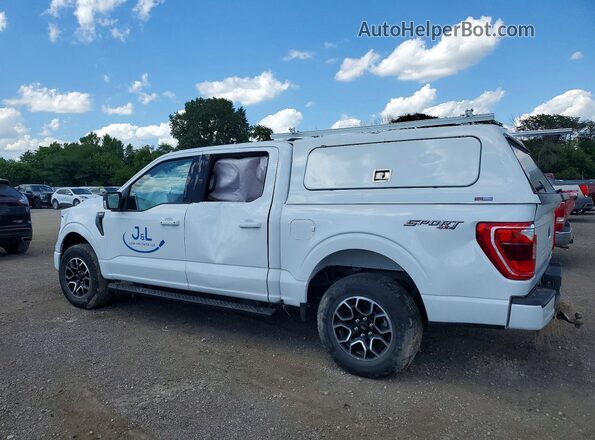 1FTEW1EP0PKD51702 2023 FORD F150 White Tył lewy