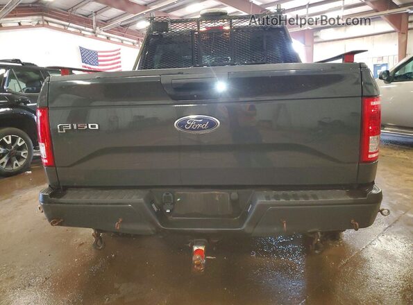 1FTEW1EP1GFC29598 2016 FORD F150 Gray Հետևի տեսք