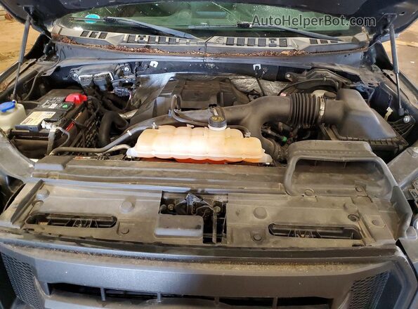 1FTEW1EP1GFC29598 2016 FORD F150 Gray Սալոնի հետևի տեսք