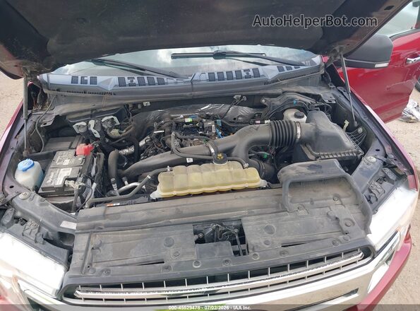 1FTEW1EP1KKD24646 2019 FORD F150 Красный Вид сзади