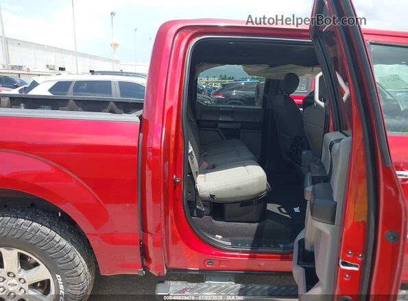 1FTEW1EP1KKD24646 2019 FORD F150 Красный Вид наклейки с VIN-кодом