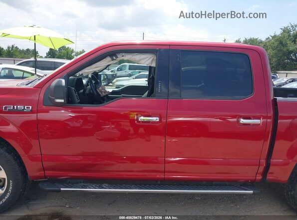 1FTEW1EP1KKD24646 2019 FORD F150 Красный Панорамный вид салона 360°