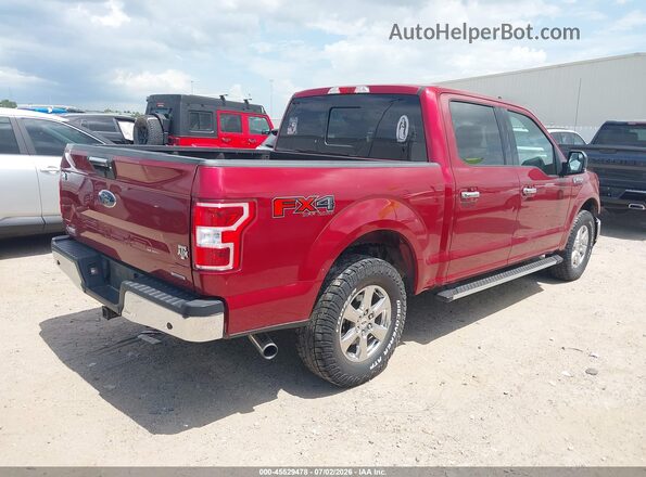 1FTEW1EP1KKD24646 2019 FORD F150 Красный Задняя правая четверть