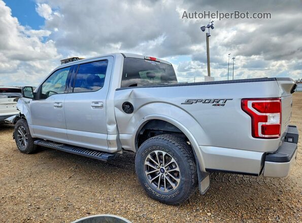 1FTEW1EP1KKD85737 2019 FORD F150 Silver უკანა მარცხენა
