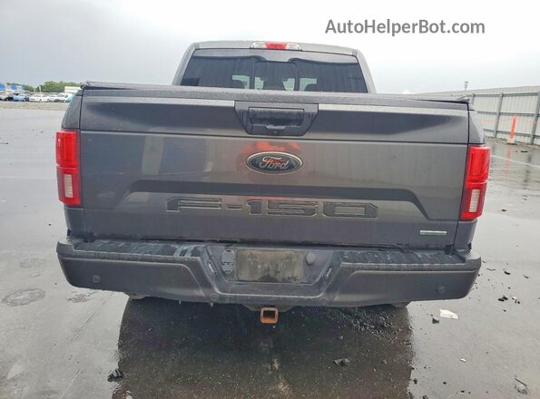 1FTEW1EP1LFA55039 2020 FORD F150 Gray უკანა ხედი