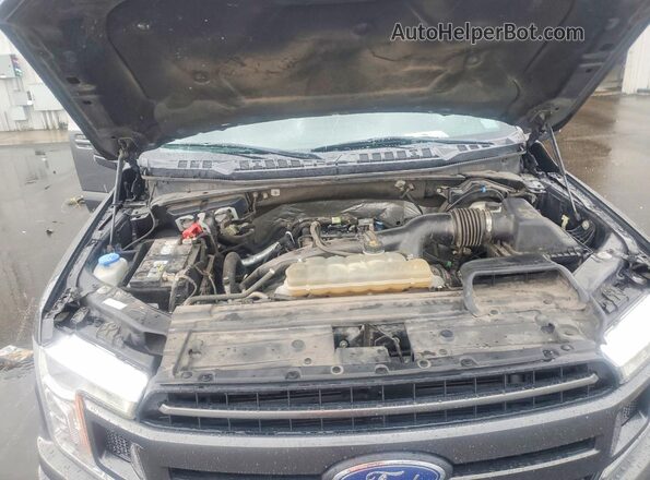 1FTEW1EP1LFA55039 2020 FORD F150 Gray უკანა სალონის ხედი