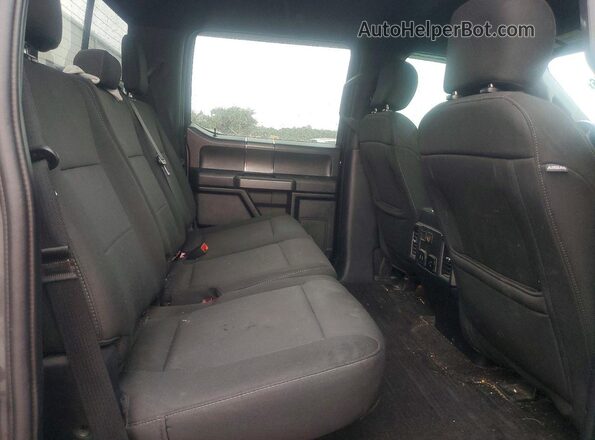 1FTEW1EP1LFA55039 2020 FORD F150 Gray უკანა სავარძლების ხედი