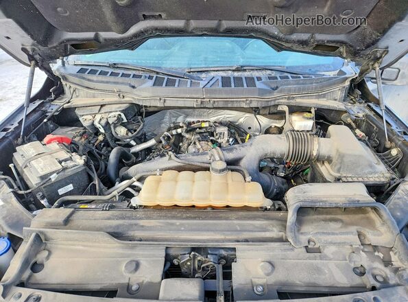 1FTEW1EP1MFC67747 2021 FORD F150 Gray Вид задньої частини салону