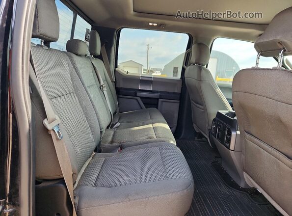 1FTEW1EP2GFB53096 2016 FORD F150 Black Հետևի նստատեղերի տեսք