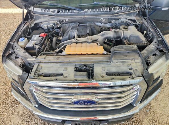 1FTEW1EP2GKE24083 2016 FORD F150 Black Rear interior view