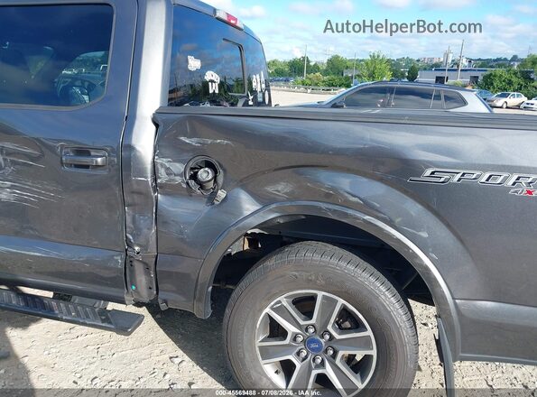 1FTEW1EP2HFC49005 2017 FORD F150 Gray Դիմացի տեսք